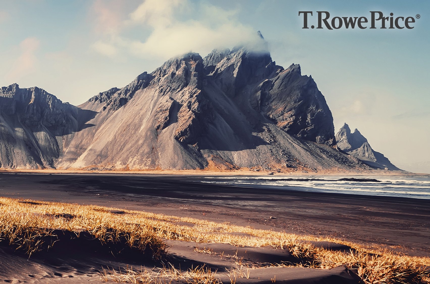 TRowePrice