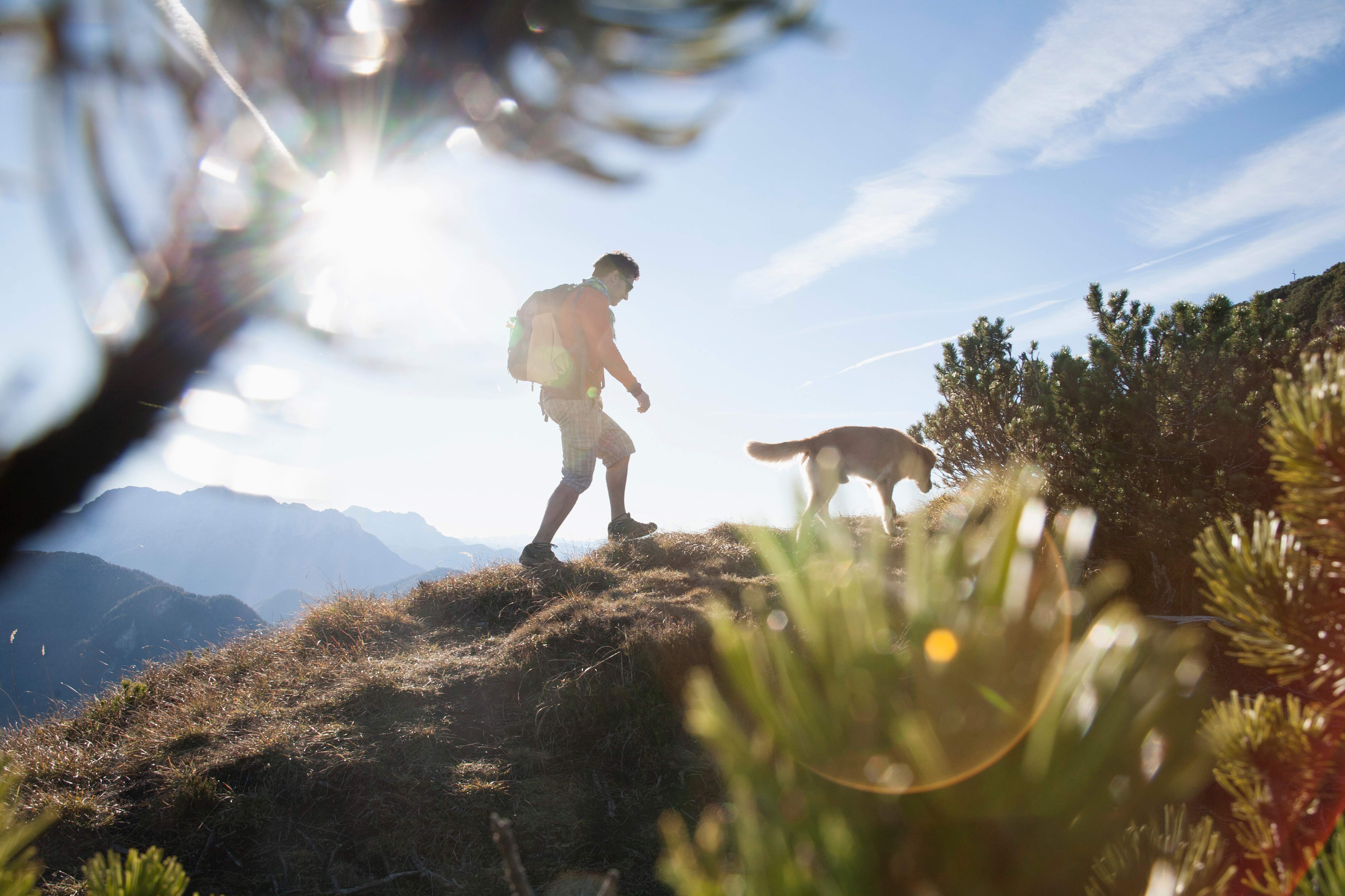 hiker and dog